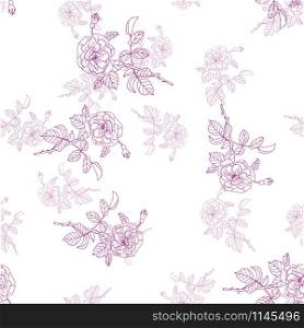 Seamless pattern with rose. Sketch.