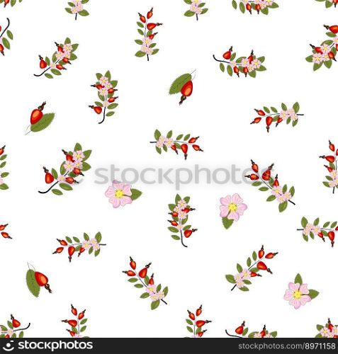 Seamless pattern with rosehip berries and flowers. Collection of various berries, herbs, twigs. Seamless pattern with rosehip berries and flowers. Collection of various berries, herbs