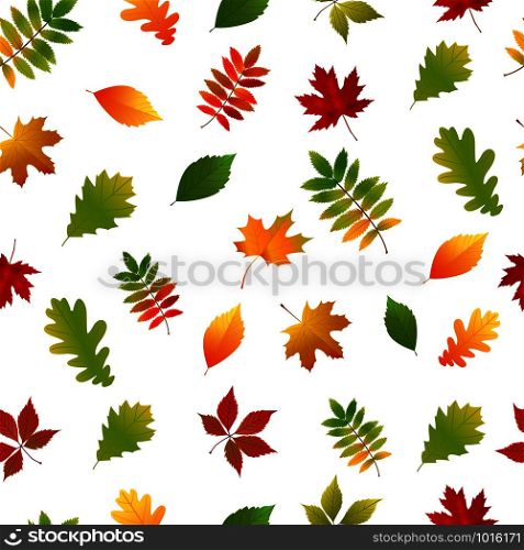 Seamless pattern with set autumn yellow, green, red leaves. Universal vector illustration with fall colorful foliage.. Seamless pattern with set autumn yellow, green, red leaves.