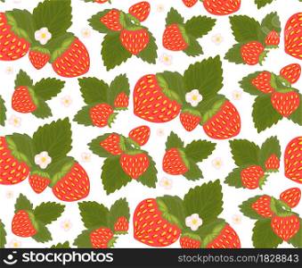 Seamless pattern with strawberries, foliage and small flowers. Summer texture with hand drawn berries on bush. Natural wallpaper with bunch of fruits and leaves on white background.. Seamless pattern with strawberries, foliage and small flowers. Summer texture with hand drawn berries on bush. Natural wallpaper with bunch of fruits