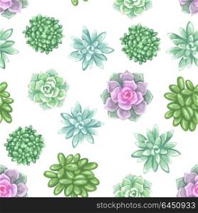 Seamless pattern with succulents. Echeveria, Jade Plant and Donkey Tails. Seamless pattern with succulents. Echeveria, Jade Plant and Donkey Tails.