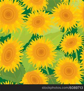 Seamless pattern with sunflowers. Summer season, nature background.