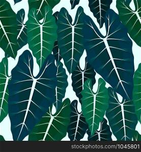 Seamless pattern with tropical leaves, alocasia leaf seamless vector pattern bright background. Swimwear botanical design. Vector.