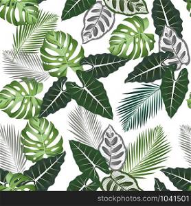Seamless pattern with tropical leaves: alocasia, palms, monstera, jungle leaf seamless vector pattern white background. Swimwear botanical design. Vector.