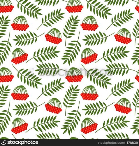 Seamless pattern with vector rowan berries and leaves. Rowan berries and leaves pattern
