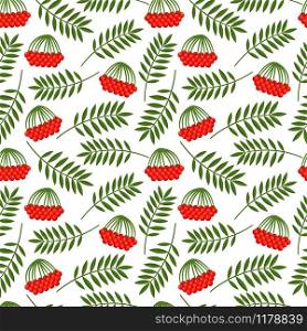 Seamless pattern with vector rowan berries and leaves. Rowan berries and leaves pattern