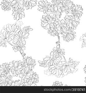 Seamless retro pattern with daisies sketch drawing over white
