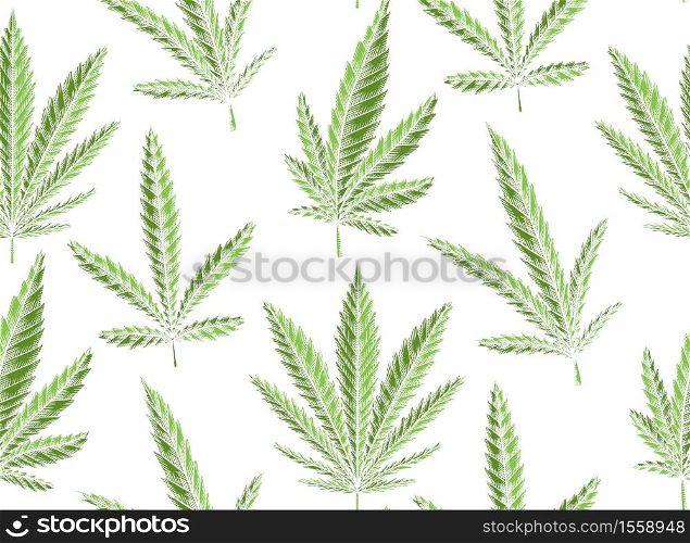 Seamless texture of green leaves of marijuana on a white background. Vector herbs pattern for fabrics, wallpapers and your creativity.. Seamless texture of green leaves of marijuana on a white background. Vector herbs pattern