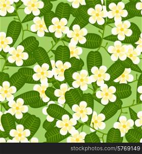Seamless tropical pattern with stylized plumeria flowers.