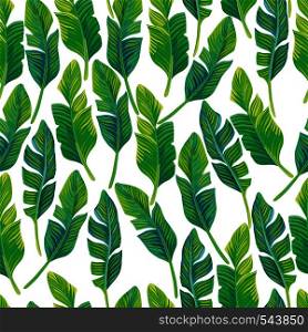 Seamless vector composition of tropical palm leaves on a white background. Beautiful beach wallpaper