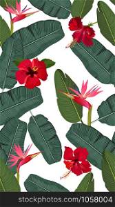 Seamless vector pattern banana leaves with red hibiscus flower and pink bird of paradise on white background