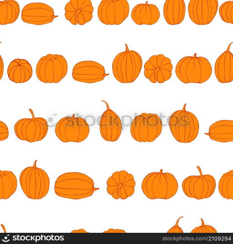 Seamless vector pattern with pumpkins. Pattern with pumpkins