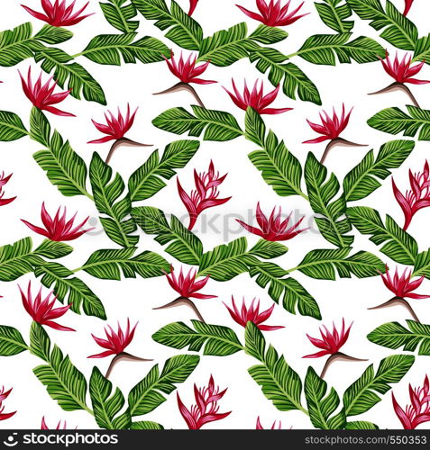 Seamless vector summer composition from green banana leaves and red flowers bird of paradise (strelizia) white background. Fresh spring pattern wallpaper