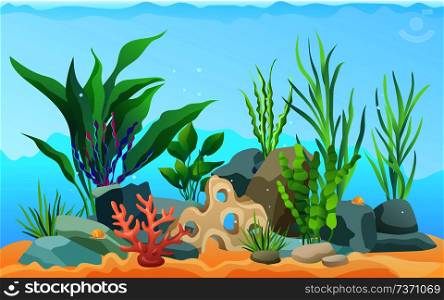 Seascape rocks and plants. Underwater view with sand and seaweed, snails animals crawling on bottom of sea. Aquatic image wildlife vector illustration. Seascape Rocks and Plants Vector Illustration
