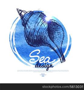 Seashell banner. Sea nautical design. Hand drawn sketch and watercolor illustration