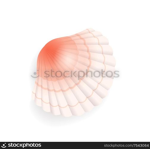Seashell conch icon closeup vector. Detailed mussel exotic sealife. Clam found on seashore, coastline of sea or ocean, cockle of pink color with lines. Seashell Conch Icon Closeup Vector Illustration