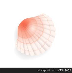 Seashell conch icon closeup vector. Detailed mussel exotic sealife. Clam found on seashore, coastline of sea or ocean, cockle of pink color with lines. Seashell Conch Icon Closeup Vector Illustration