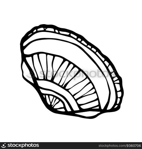 Seashell drawing. Conch or clam shell ink line art freehand design element on white background. Vector illustration.