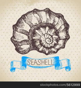 Seashell hand drawn sketch. Vintage illustration