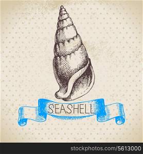 Seashell hand drawn sketch. Vintage illustration