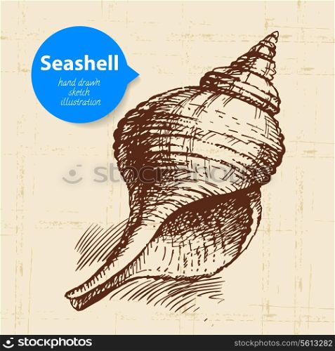 Seashell hand drawn sketch. Vintage illustration
