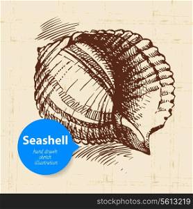 Seashell hand drawn sketch. Vintage illustration&#x9;
