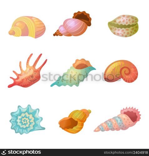 Seashell. Sea weather item starfish colorful sand items recent vector stylized seashells isolated. Sea shell exotic, aquatic mollusk illustration. Seashell. Sea weather item starfish colorful sand items recent vector stylized seashells isolated