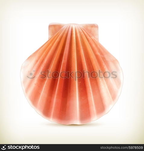 Seashell, vector icon