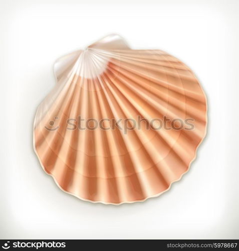 Seashell, vector icon