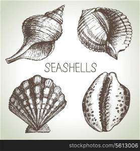 Seashells hand drawn set. Sketch design elements