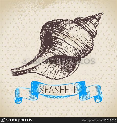 Seashells hand drawn sketch. Vintage illustration