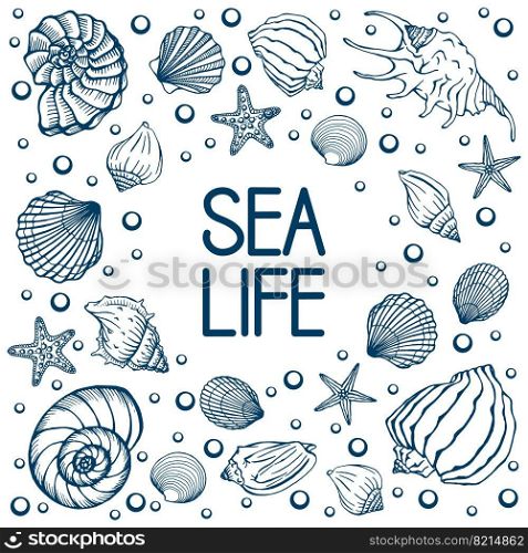 Seashells, summer, holidays, set of seashells and starfish, vector. Hand drawn sea shells and starfishes. Beautiful inscription in modern calligraphy.