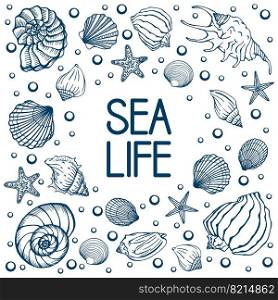 Seashells, summer, holidays, set of seashells and starfish, vector. Hand drawn sea shells and starfishes. Beautiful inscription in modern calligraphy.