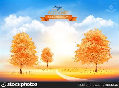 Season autumn background with gold trees and sunset sky with transparent clouds. Vector illustration