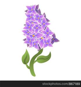 Season lilac icon. Cartoon of season lilac vector icon for web design isolated on white background. Season lilac icon, cartoon style