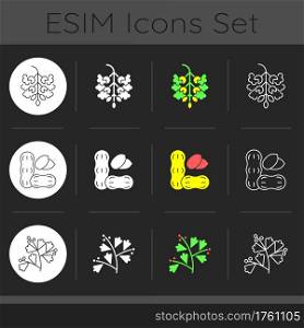 Seasonal allergen causes dark theme icons set. Poplar tree pollen. Blooming sagebrush. Common cause of allergy. Linear white, solid glyph and RGB color styles. Isolated vector illustrations. Seasonal allergen causes dark theme icons set