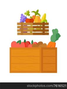 Seasonal food vector, isolated box with meal fresh organic ingredients in basket. Flat style grapes and tomato, carrots and peas, corn and vitamins. Harvested Fruits and Vegetables, Veggies in Boxes