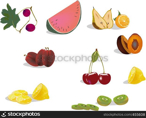 seasonal fruit series