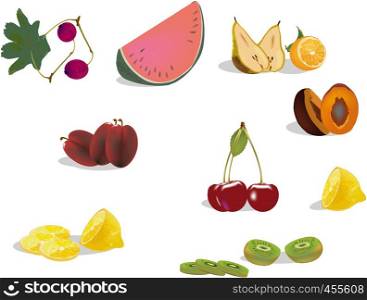 seasonal fruit series