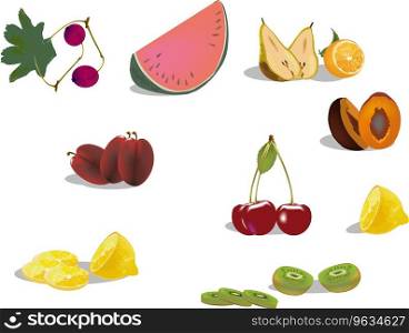Seasonal fruit series Royalty Free Vector Image