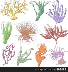 Seaweed and coral set vector image