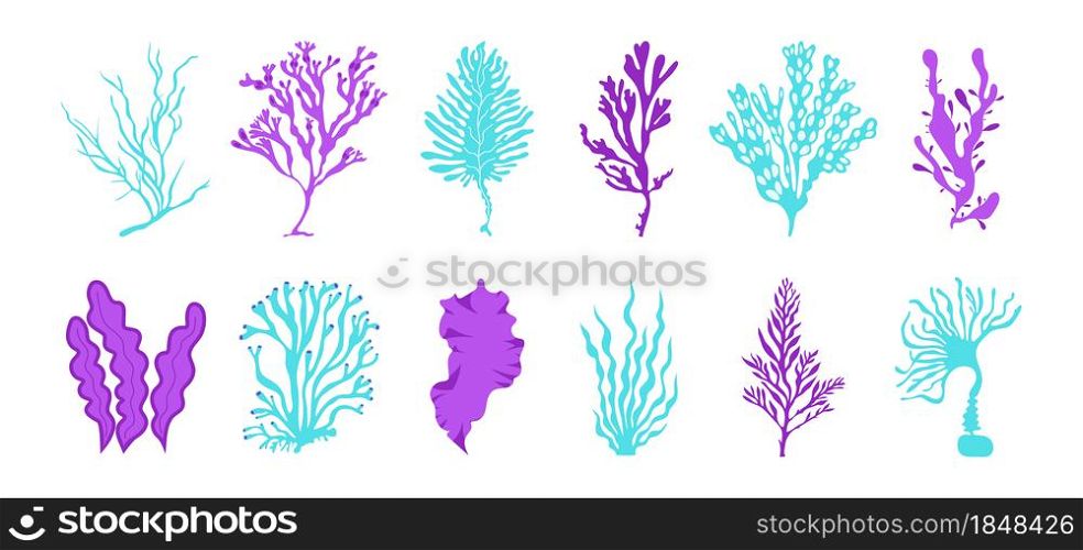 Seaweed. Cartoon ocean plants and fantasy algae for posters and marine products illustration. Vector illustrations seaweed isolated set collection underwater marine plant. Seaweed. Cartoon ocean plants and fantasy algae for posters and marine products illustration. Vector seaweed isolated set
