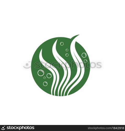 seaweed icon vector illustration design template web