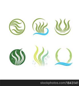 seaweed icon vector illustration design template web