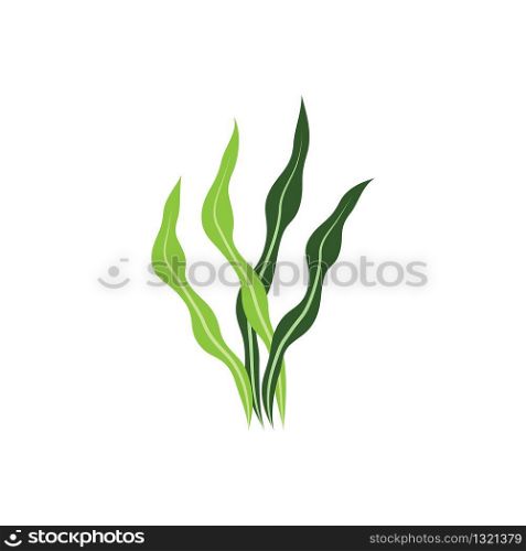 Seaweed logo template vector icon illustration design