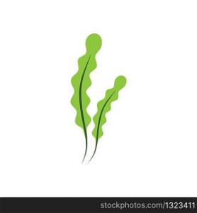 Seaweed logo template vector icon illustration design