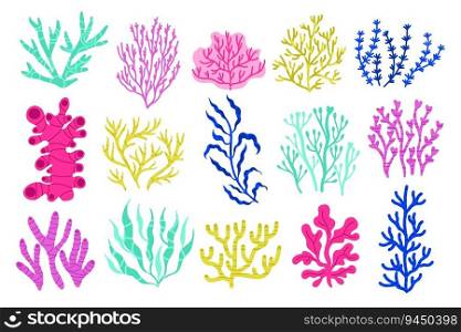 Seaweeds and algae. Cartoon colorful underwater plants, colorful exotic marine botany flora, coral and water plants. Vector isolated set of seaweed water ocean illustration. Seaweeds and algae. Cartoon colorful underwater plants, colorful exotic marine botany flora, coral and water plants. Vector isolated set