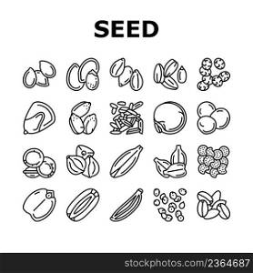 Seed Plant Agriculture Culture Icons Set Vector. Amaranth And Sunflower, Sesame And Flax, Chia And Mustard Agricultural Seed. Vegetable And Fruit Growing Vitamin Product Black Contour Illustrations. Seed Plant Agriculture Culture Icons Set Vector