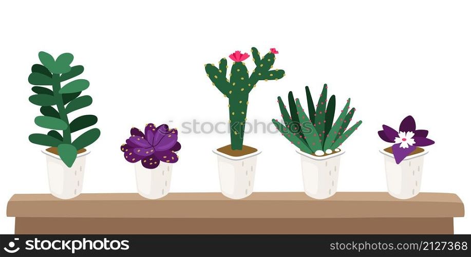 Seeding in pots. Garden plants, succulents for greenhouse. Isolated flowers, greens and cactus vector set. Seeding in pots