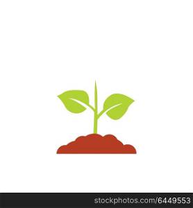 Seedling icon vector, growing tree, green agriculture